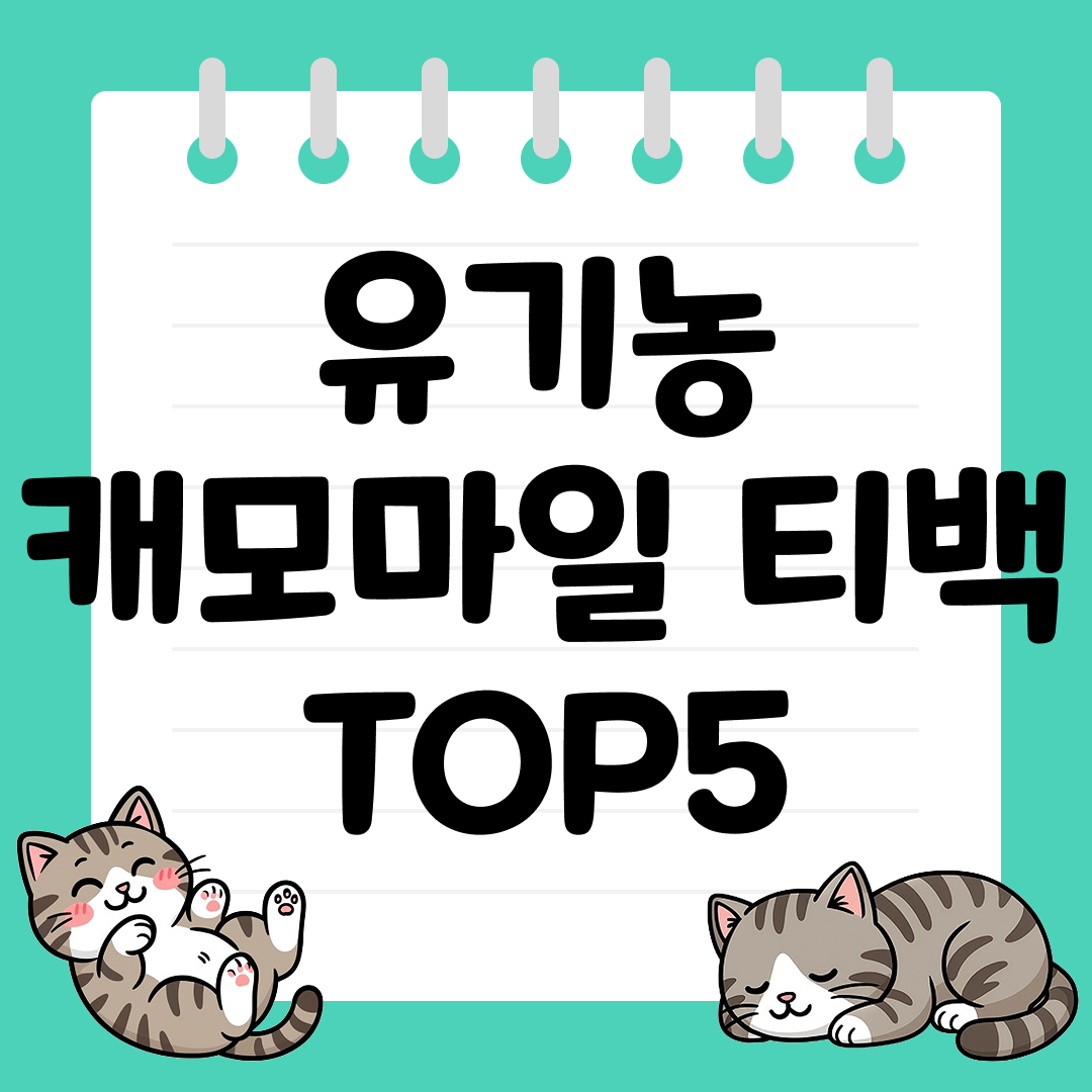 숙면과 릴렉스에 좋은 유기농 캐모마일 티백 TOP5