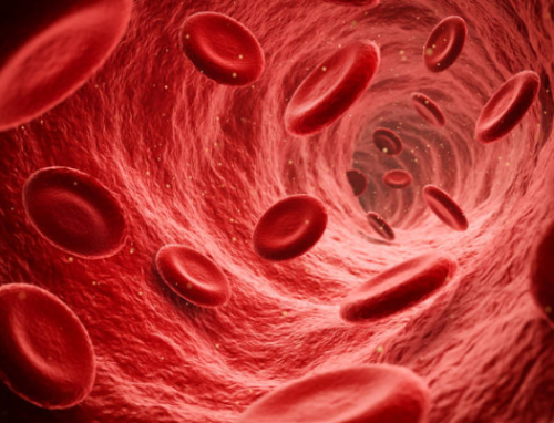 적혈구 수치를 정상 범위로 유지하는 방법