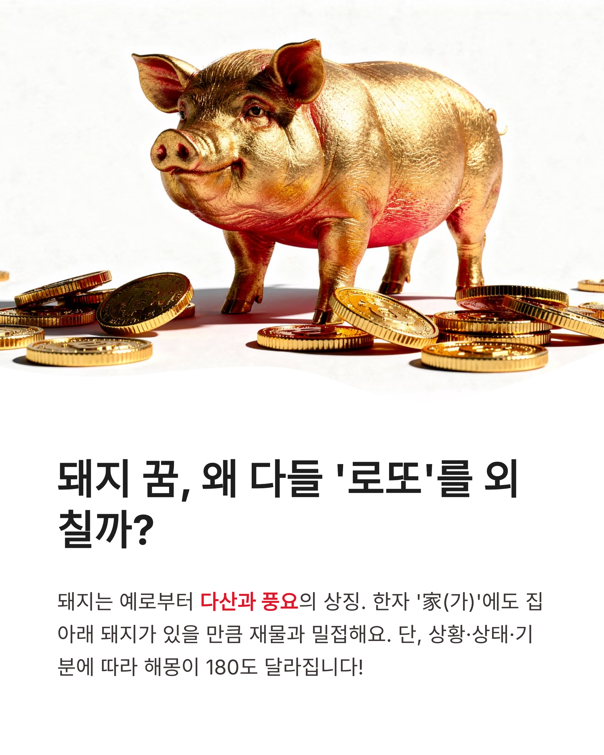 돼지 꿈 해몽 ❘ 새끼 돼지 똥 묻은 돼지 복권 당첨까지? 재물운 폭발하는 징조 총정리!