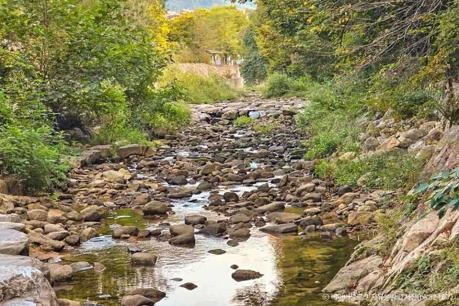 서울 계곡 추천 신림계곡