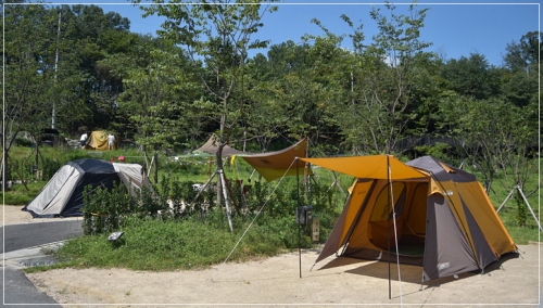 캠핑장-전경