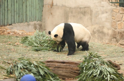 희귀 동식물과의 만남: 특별한 여행의 시작