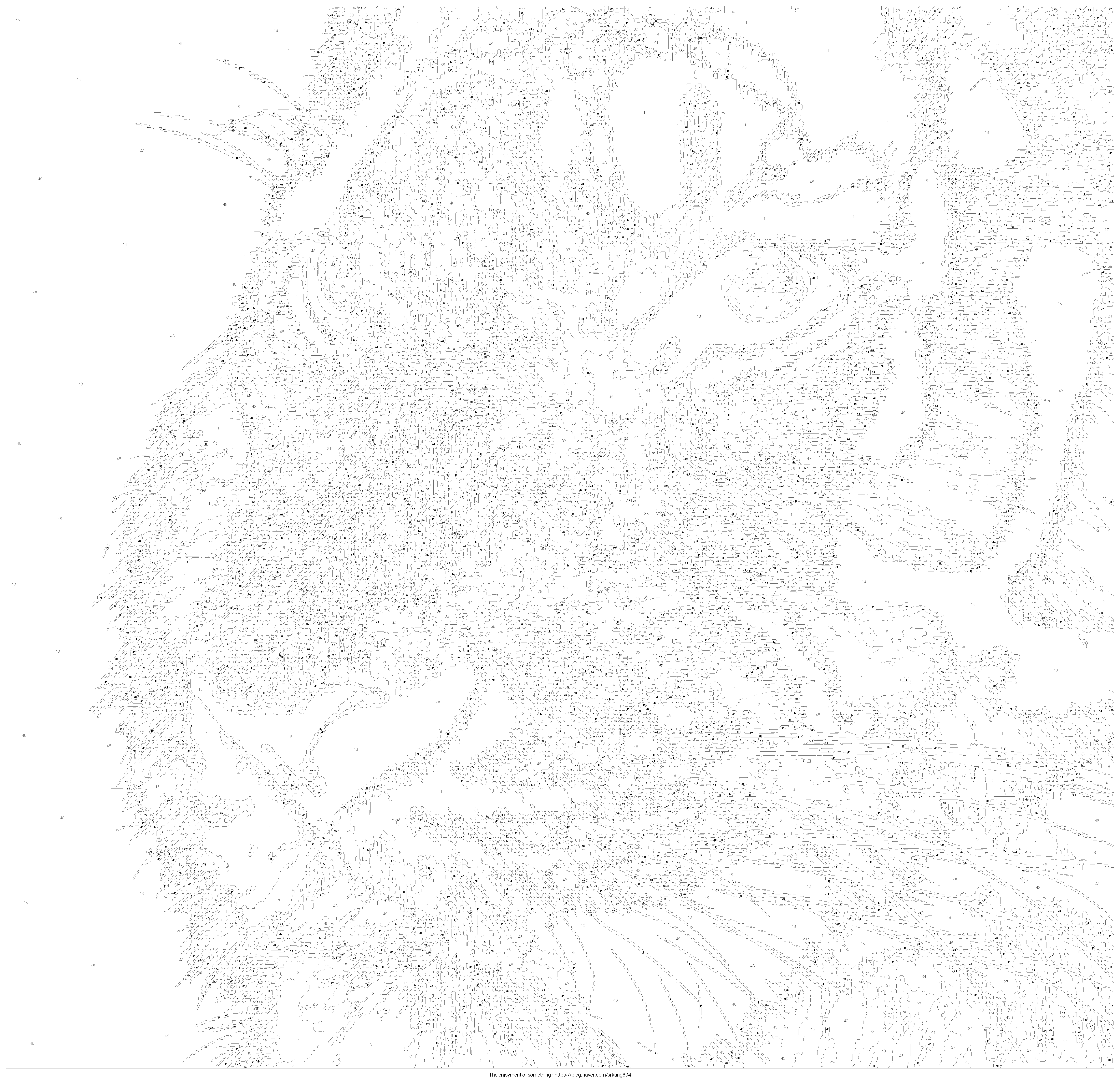 Number Coloring Template (PBN)