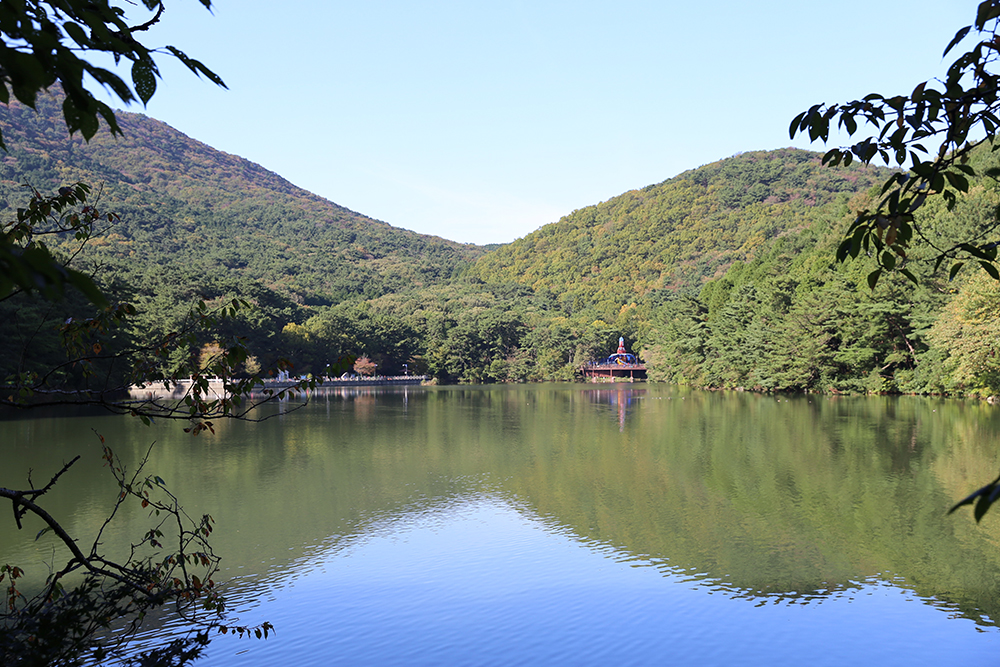 추천 부산 단풍명소 BEST 08 가을 부산 여행