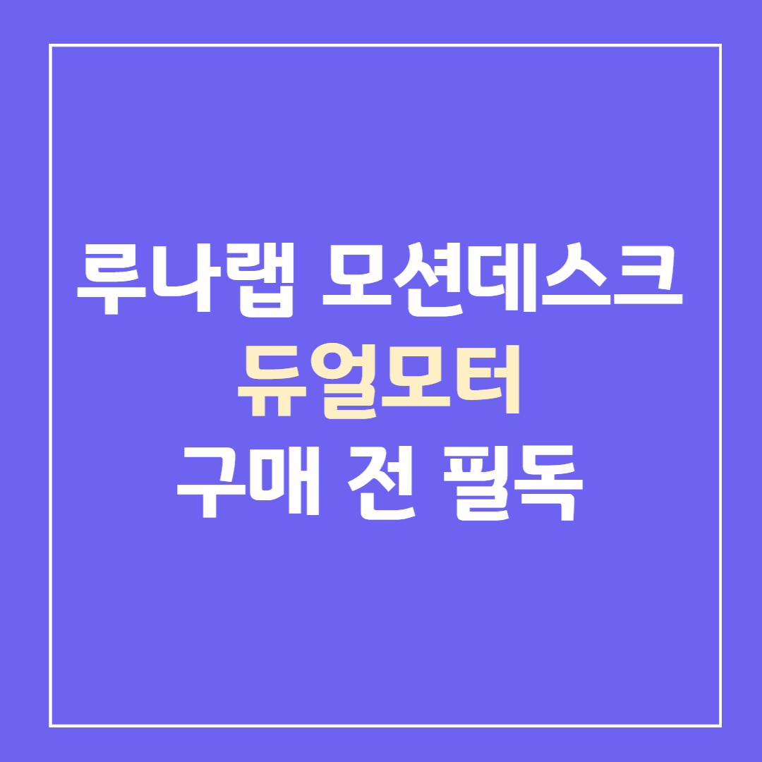 루나랩-모션데스크-듀얼모터-후기