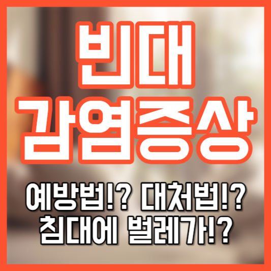 빈대 감염 증상 - 예방법!? 대처법!?