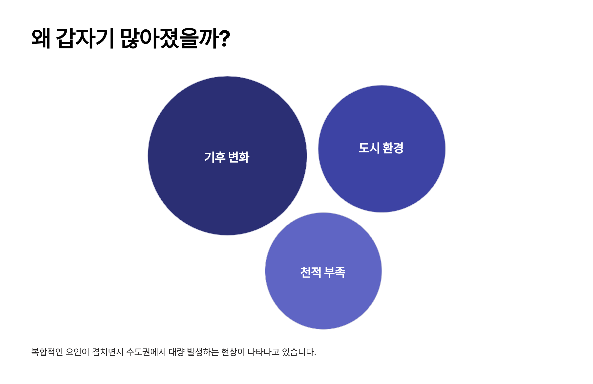 러브 버그