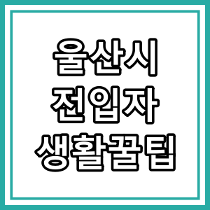 전입생활 꿀팁