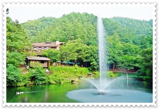 대전 근교 트리하우스