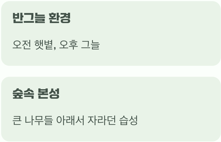 비결 1. 숲속 아기나무의 자리를 찾아주세요