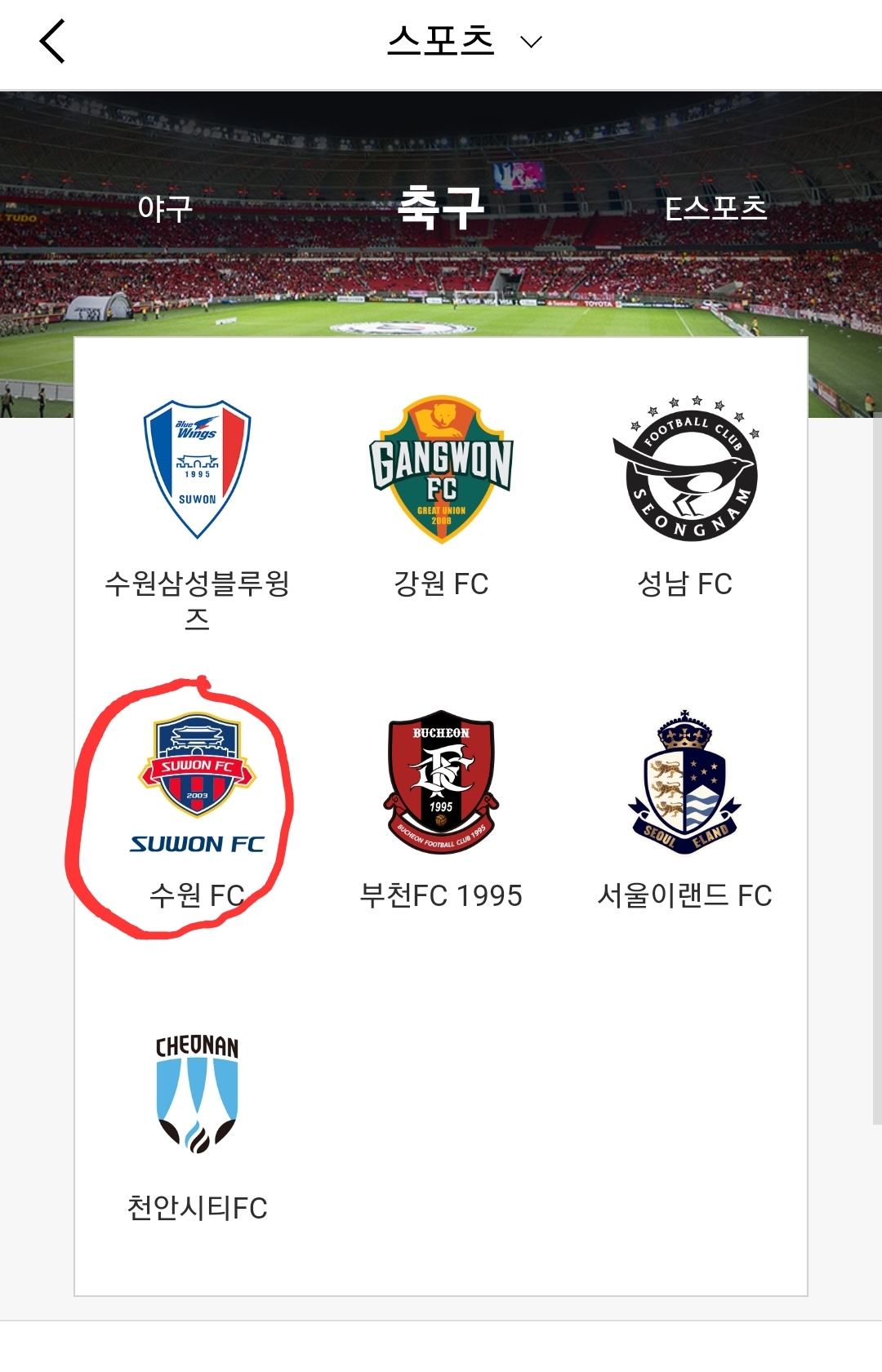 인터파크 티켓에서 스포츠, 축구를 누르면 수원 FC 구단이 나온다