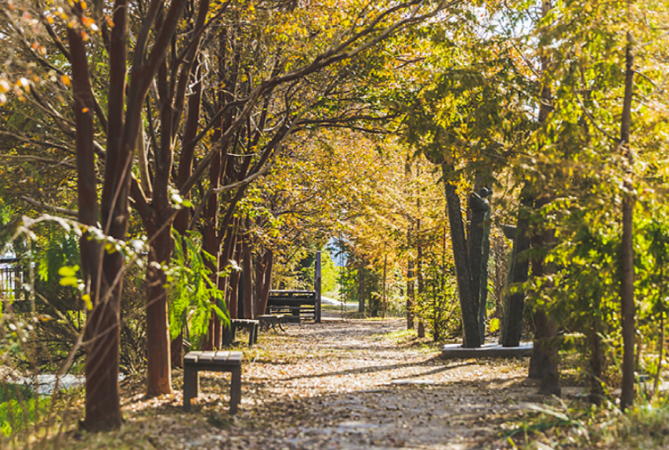 태안 청산수목원