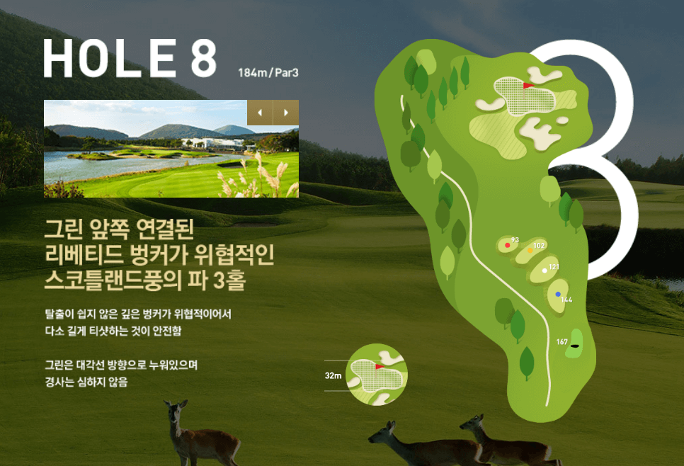 나인브릿지 CC의 코스 공략도 17