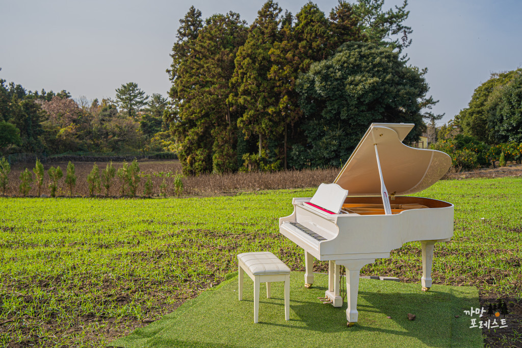 비케이브 포토존