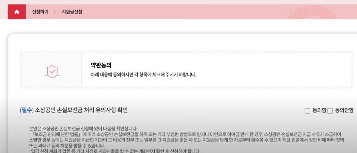 소상공인손실보전금
