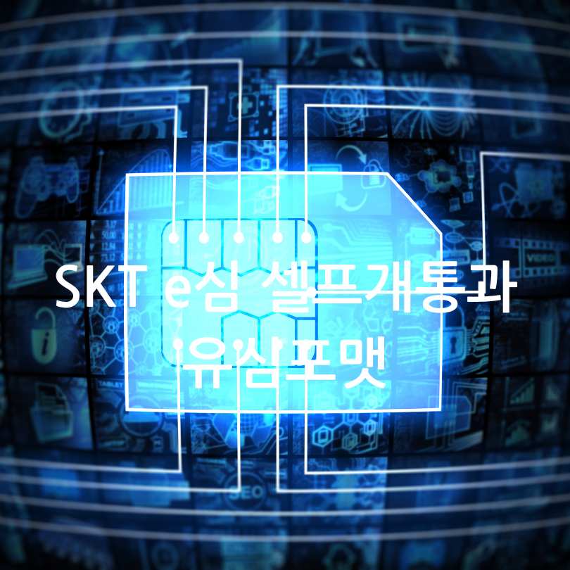 SKT e심 셀프개통과 유심포맷
