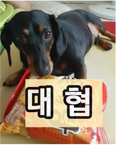 대협 간판사진