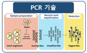 std 12종 검사 완벽 총정리종류 비용 등으로 검사항목_24