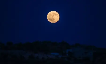 달 꿈해몽