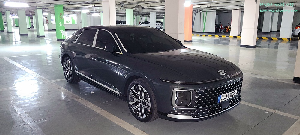 그랜저-밤부차콜그린펄