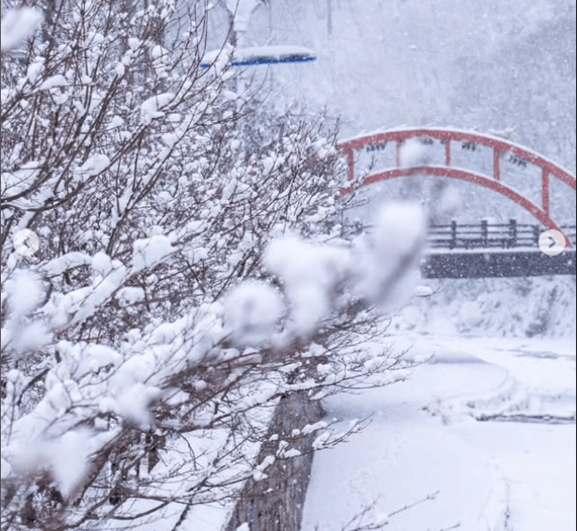 태백산 눈꽃 사진
