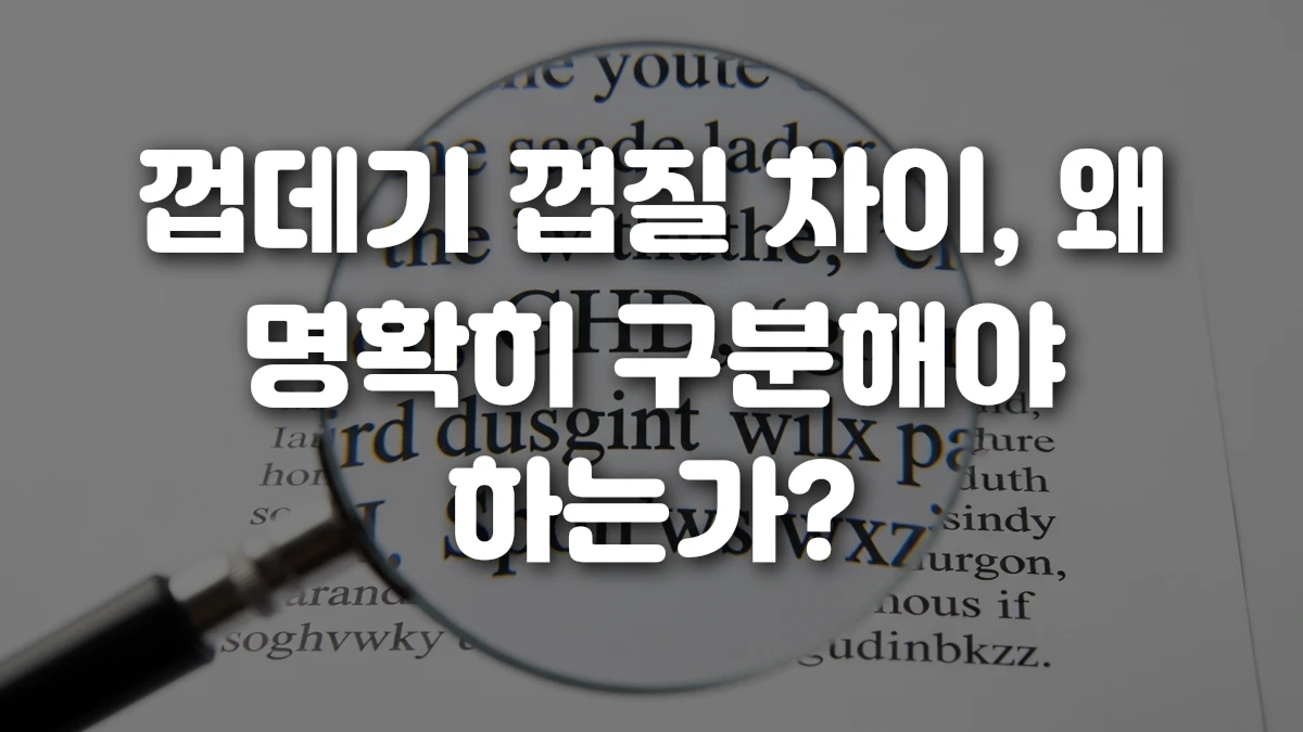 껍데기 껍질 차이 왜 명확히 구분해야 하는가
