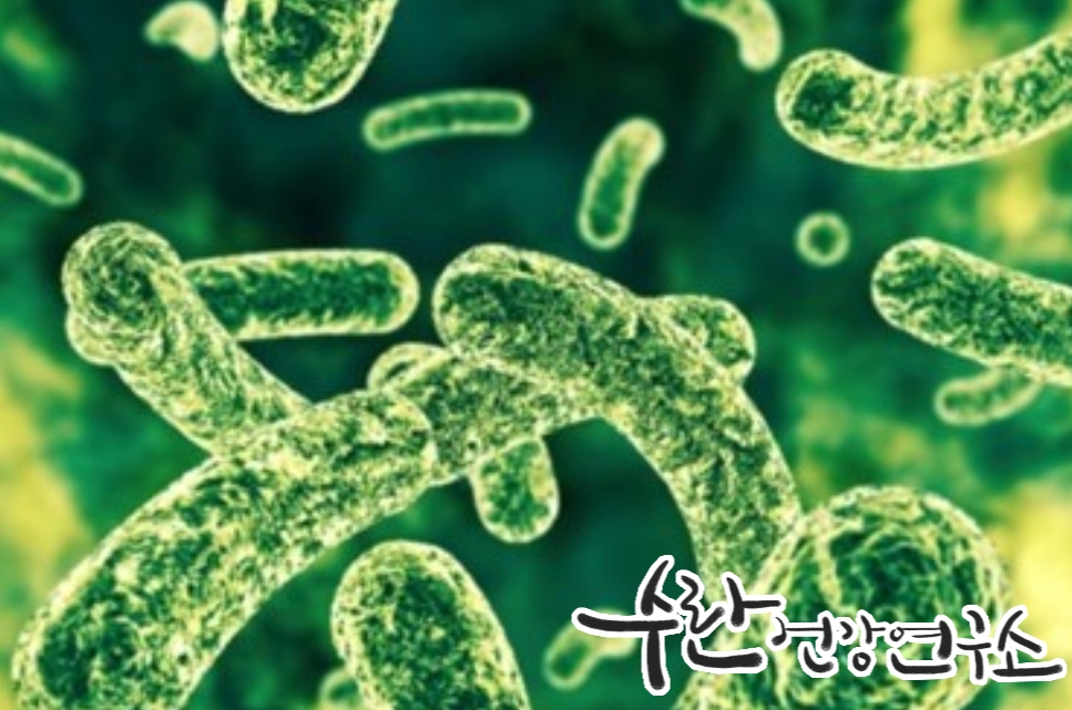 LGG 유산균 효능 부작용