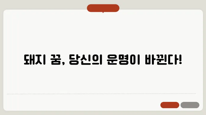 돼지 꿈 해몽