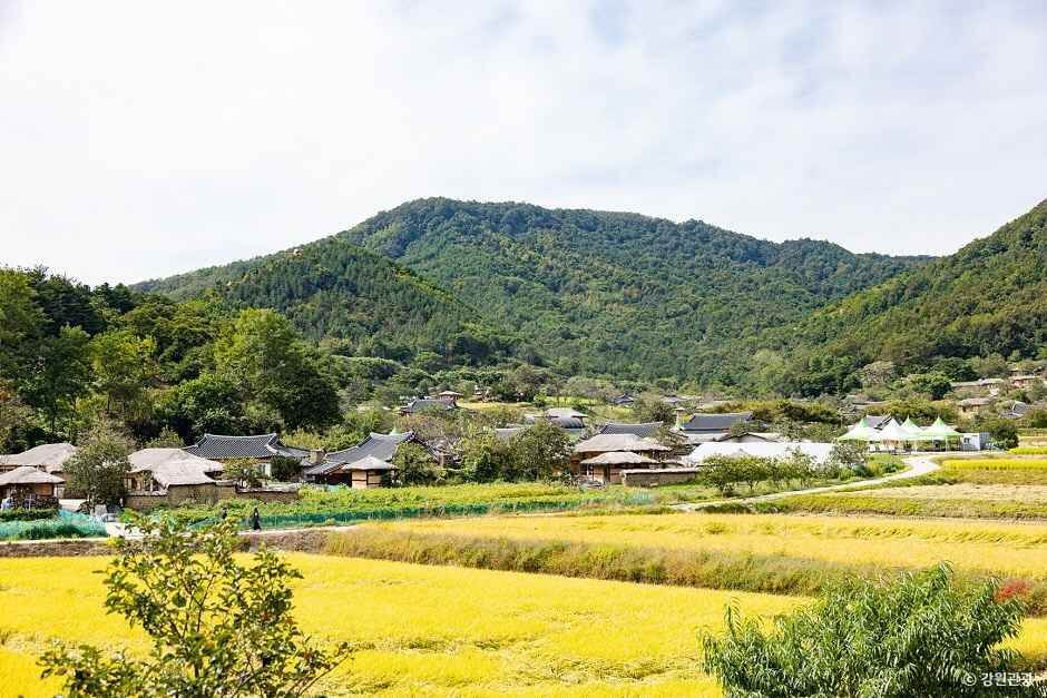 강원도 고성 가볼만한곳 베스트 10