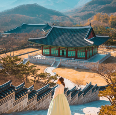 청와대 관람신청 한번에 해결