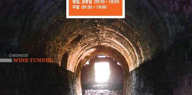 경북 여행 - 청도