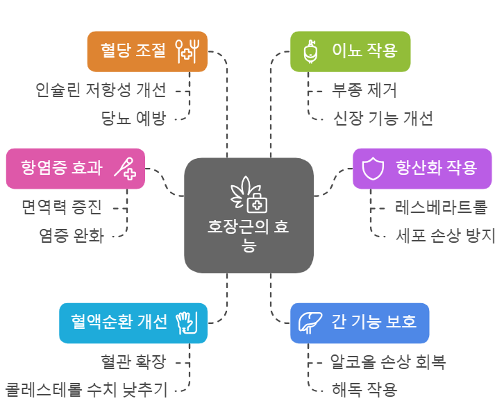 호장근 효능