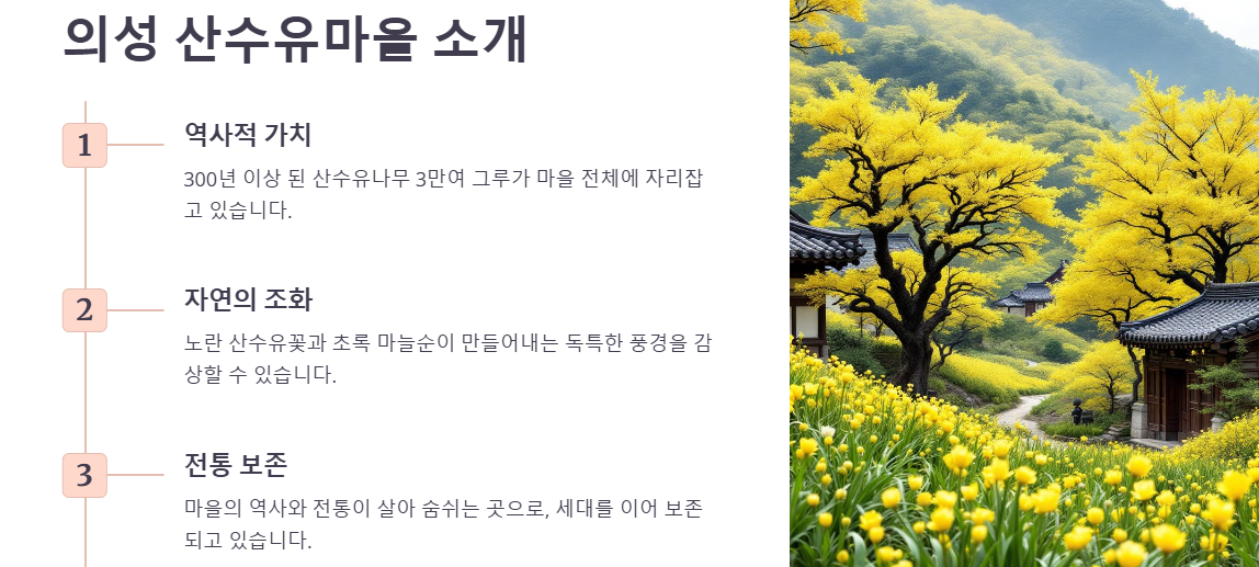 대구 근교나들이: 의성 산수유 축제