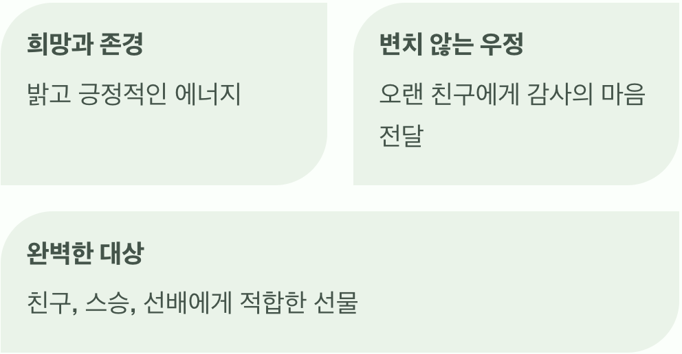 노란빛 희망, 존경과 우정