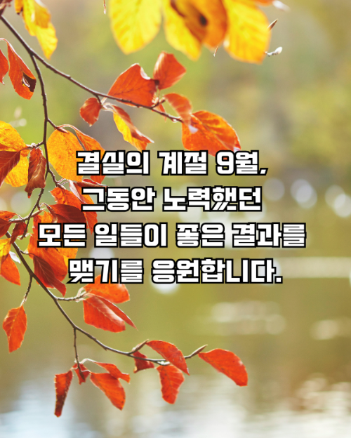 결실의 계절 9월