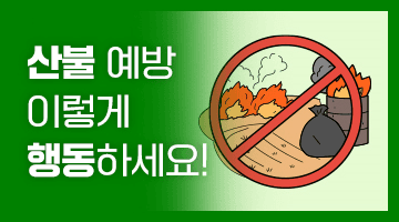 2025 강원도 민생회복 소비쿠폰 완벽 가이드 &amp;#124; 최대 55만원 지원금 총정리