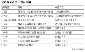 장애연금 지급 대상자