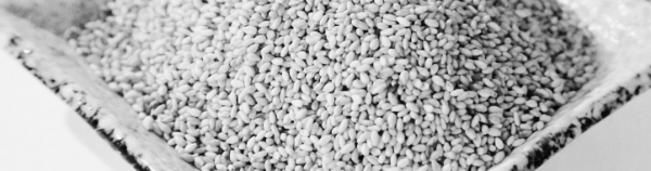 피복 재배 시: 4월 하순