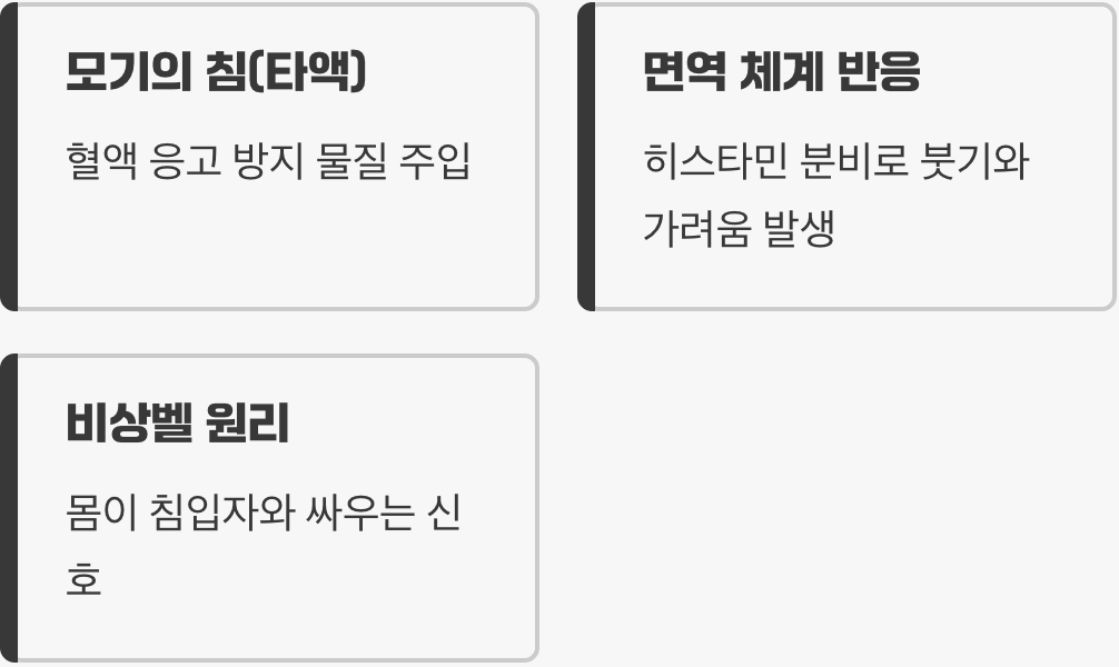 가려움의 진짜 범인, 모기의 '침'
