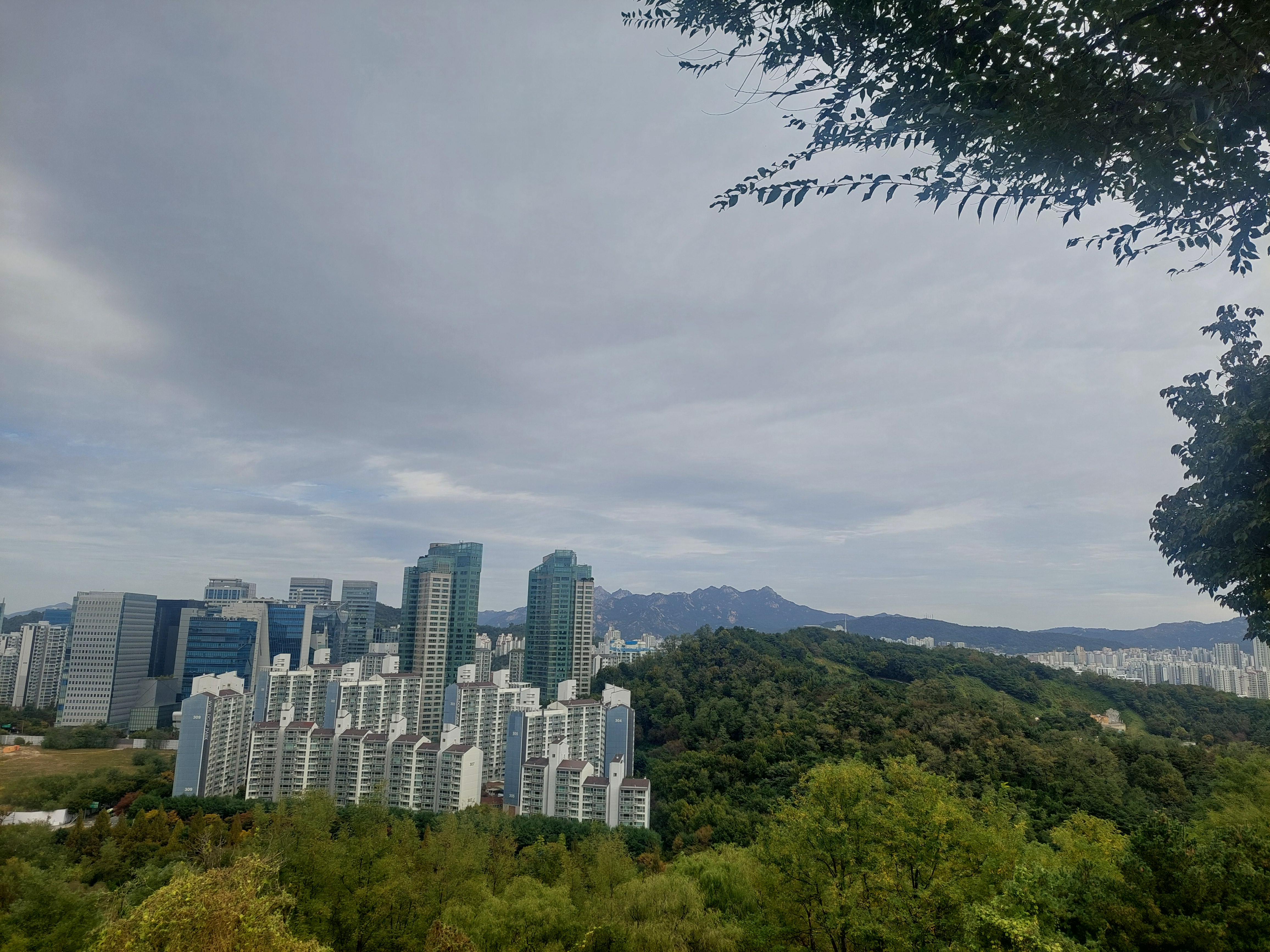 하늘공원