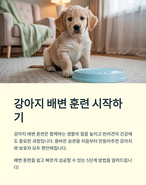 강아지 배변 훈련 시작하기