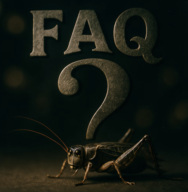 여름밤 잠 못 들게 하는 귀뚜라미 소리&amp;#44; 그 정체와 멈추게 하는 방법