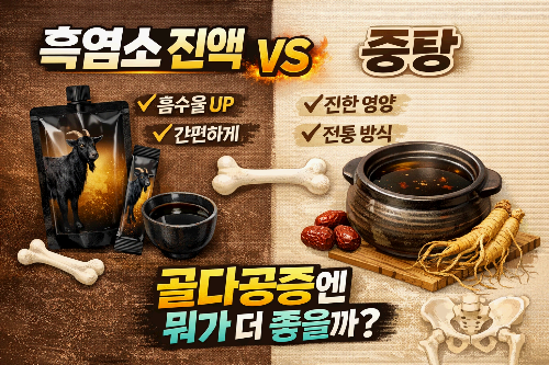 흑염소 진액 vs 중탕, 효능 차이와 현명한 선택 기준 (골다공증 예방)