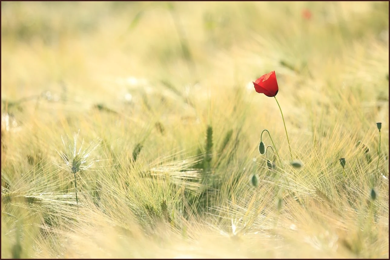 적금 이율 높은 은행