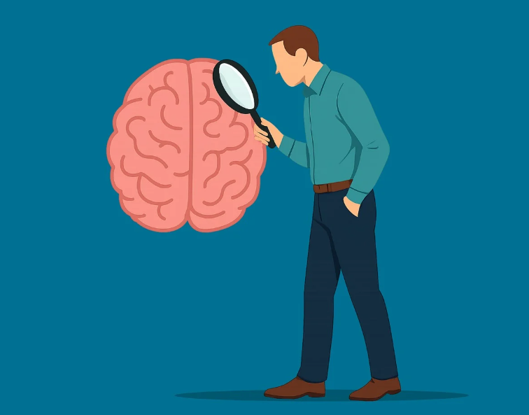 뇌를 살펴보는 모습