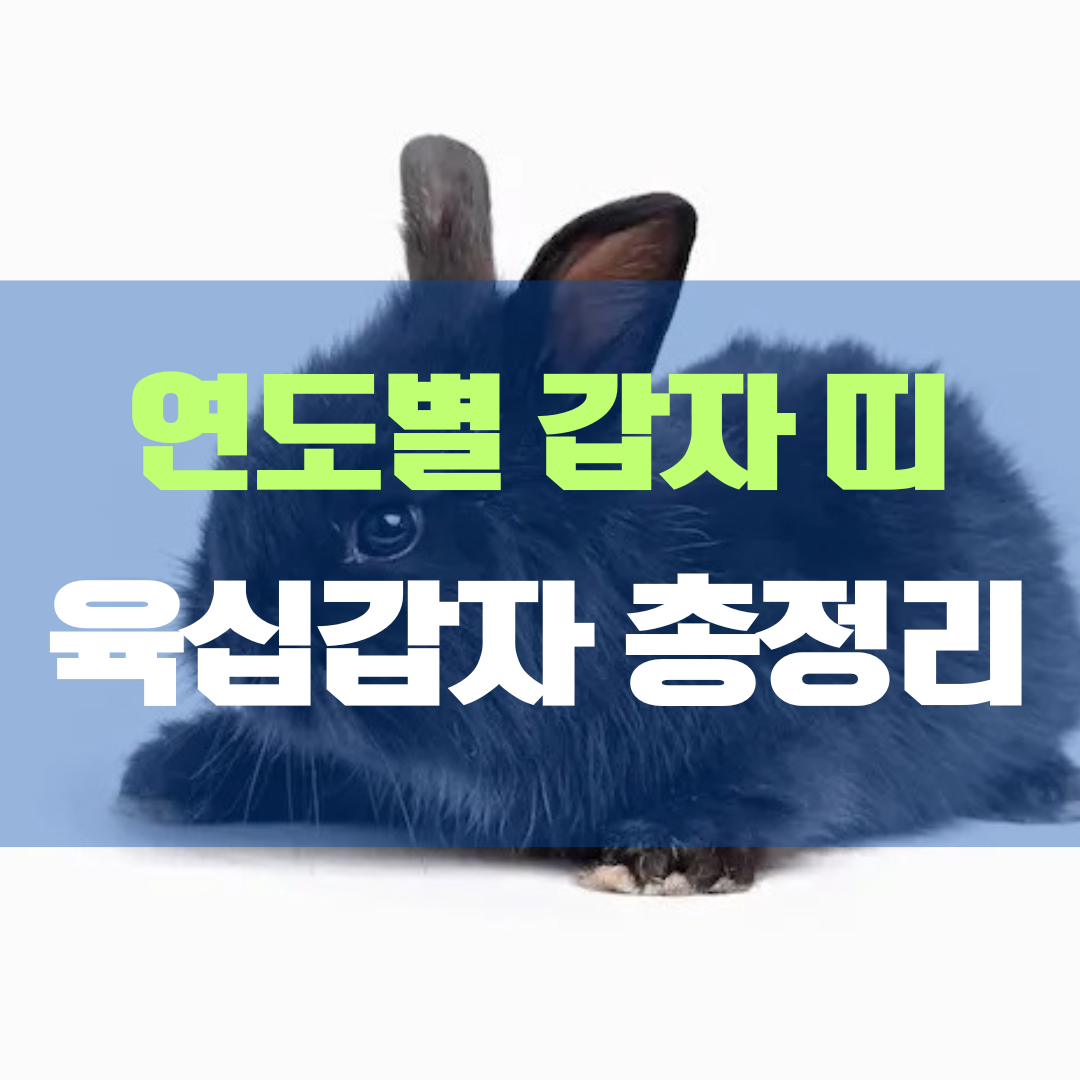 연도별 띠 및 갑자