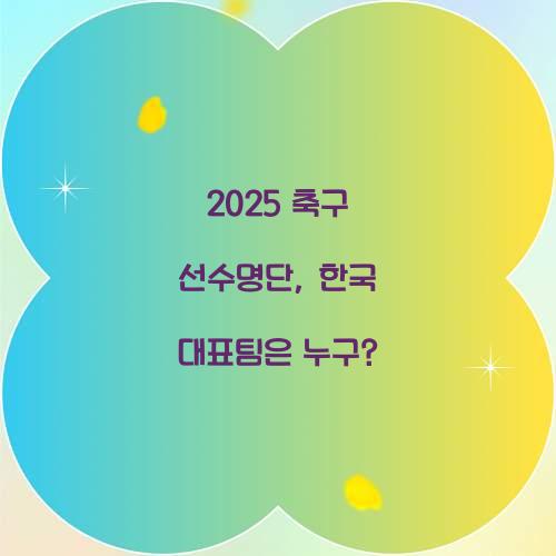 2025 축구 선수명단