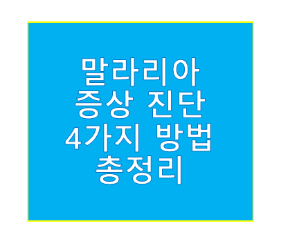 말라리아 증상