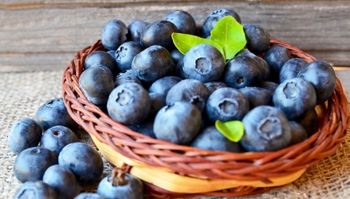 케르세틴 복용법 