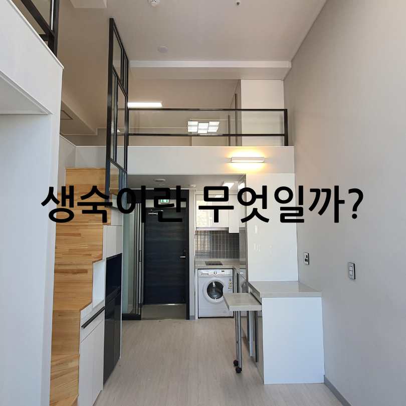 생숙 합법적 사용하기